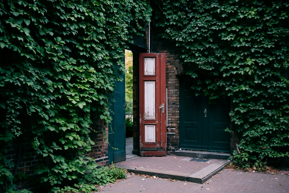 Open door for talent